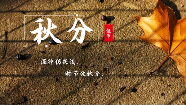 樓上樓門窗 | 白露秋分夜,一夜冷一夜，高端門窗安排上！